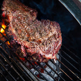 Meater Plus Meat Thermometer / Honey